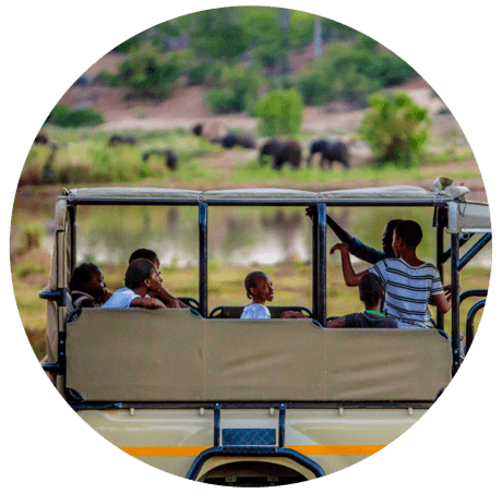 south africa safari holidays tui